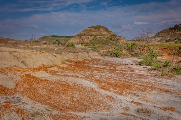 099 Theodore Roosevelt NP.jpg